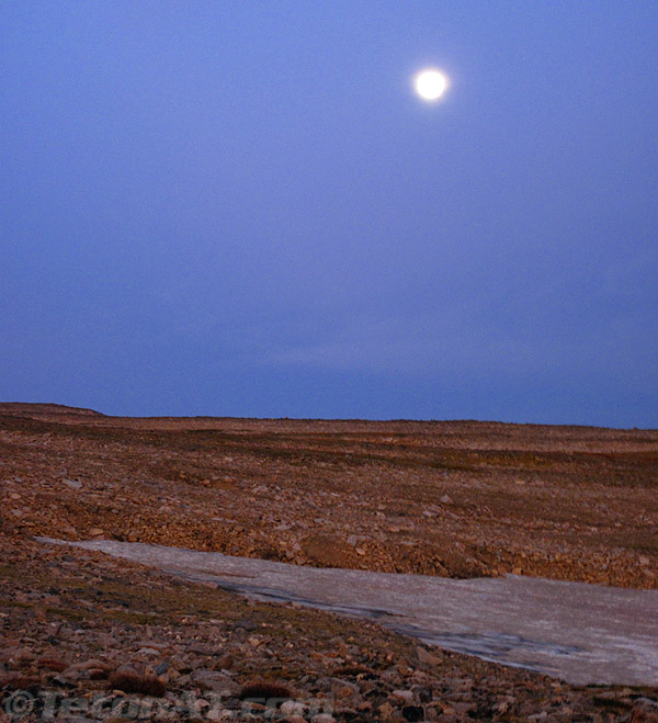 moon-over-frozen-to-deat-plateau moon-over-frozen-to-deat-plateau