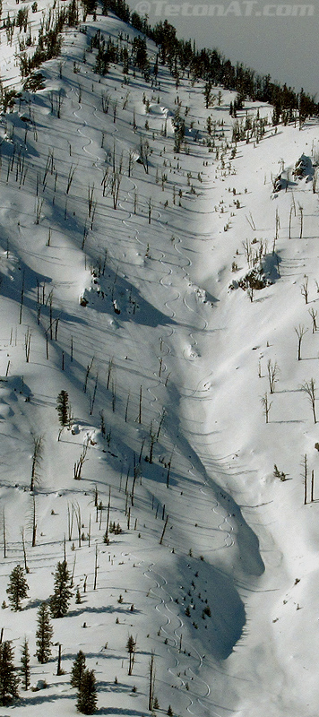 ski tracks on the burn