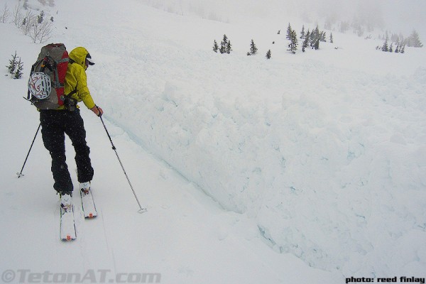 randosteve and avy debris