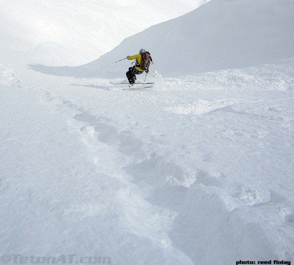 steve romeo gets more goods