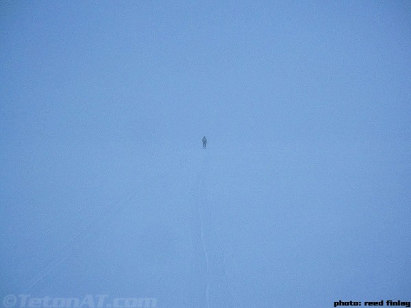 steve romeo in the fog