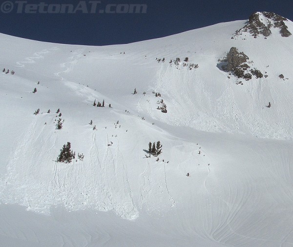 randokitty and tracks on static