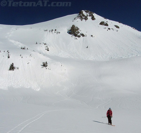 randokitty below static