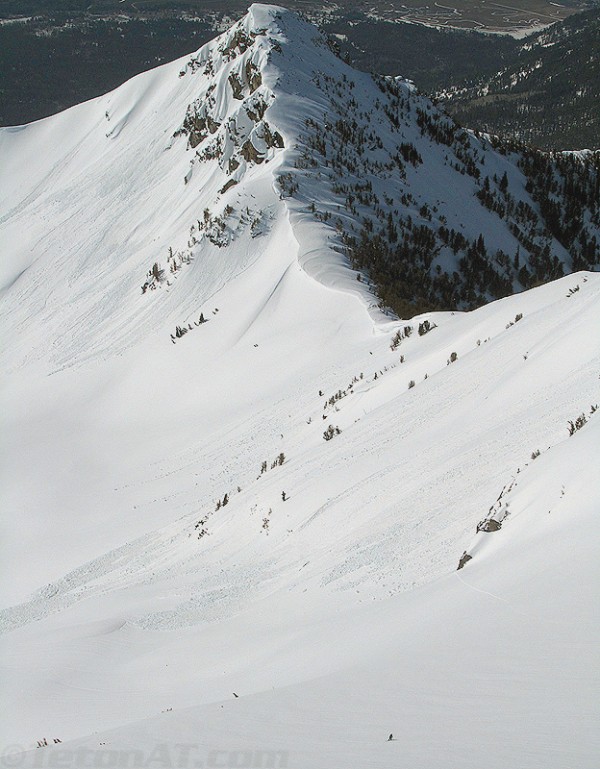 randokitty speck on static