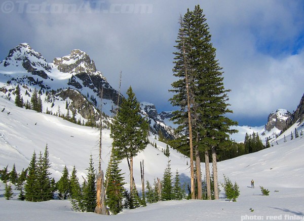 skinning in the promised land