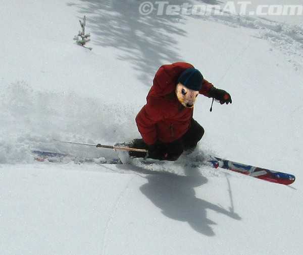teton pass puxatele phil